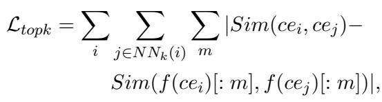 Equation for Top-k Similarity Loss