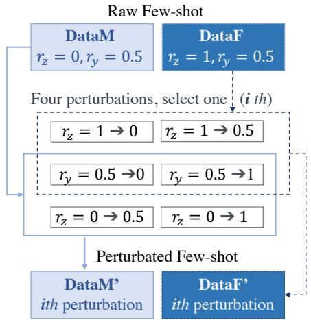 Workflow of Perturbations showing how raw few-shot data is modified for analysis.