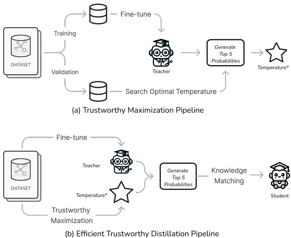 图 4: 整体高效可信蒸馏流程。