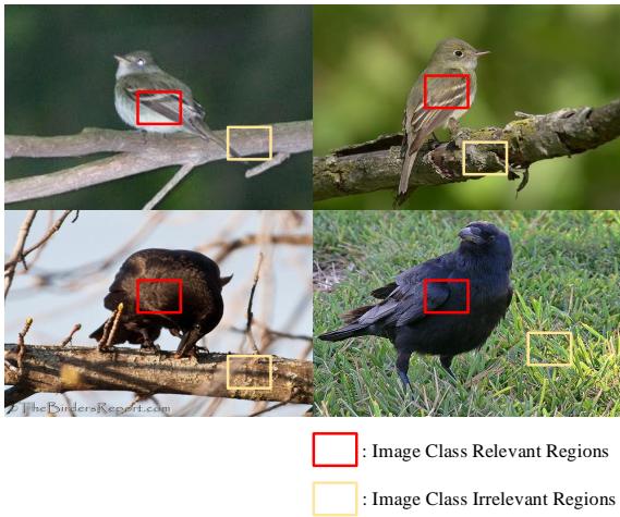 鸟类示例,红色框标记相关语义区域,黄色框标记背景区域。