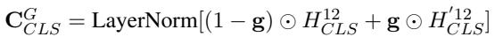 Equation for Final CLS Representation