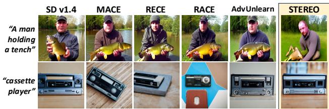 Figure 6. Tench object erasure and benign object preservation.