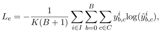 Equation for classification loss