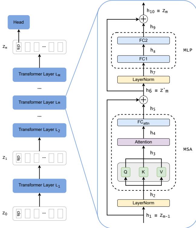 An overview of a Transformer block in ViT.