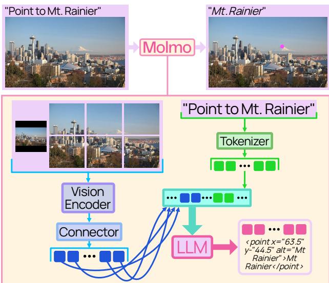 Figure 2: The Molmo Architecture. A Vision Encoder processes the image, a Connector adapts it, and an LLM generates the text.