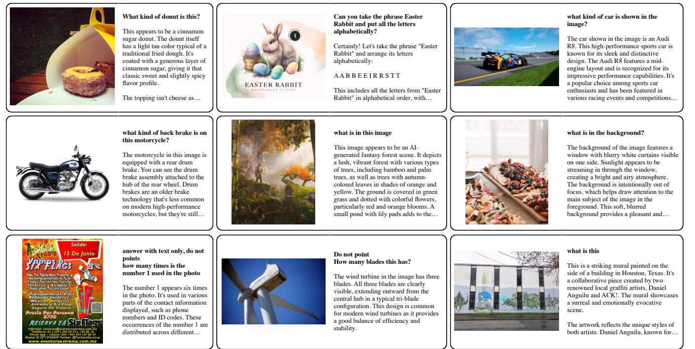 Figure 13: Examples from PixMo-AskModelAnything. The model learns to answer specific questions about visual content.