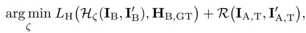 Equation for minimizing homography loss and regularization term.