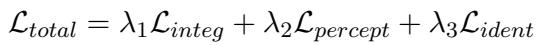 总损失函数的公式。