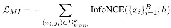 Equation 4: 互信息损失函数