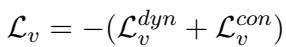 视频损失公式。