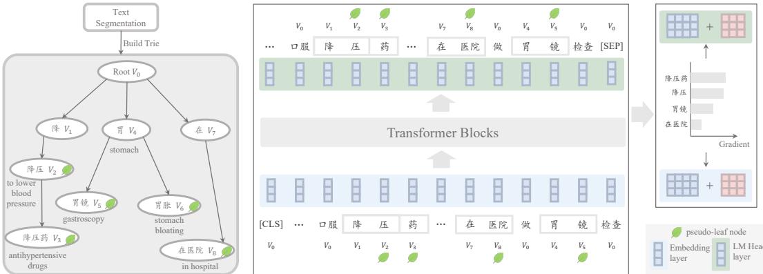 Figure 3: Gradient Calculation for each candidate word. Given the Trie built from candidate vocabulary, we check whether there exists a sub-sequence of the input and output on the path from the root of the Trie to a leaf node, by a pointer. The trace of the pointer is illustrated by \\(V_i\\) and the &ldquo;pseudo-leaf node&rdquo;. Finally, the top K words with the largest gradients are selected to construct the new vocabulary, and used to resize the embedding layer and language modeling head layer.