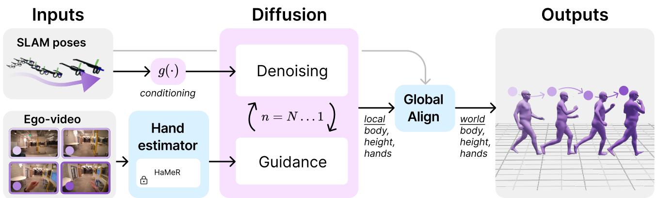 Figure 2. Overview of components in EgoAllo. We restrict the diffusion model to local body parameters (Section 3.1.1). An invariant parameterization g(·) (Section 3.1.2) of SLAM poses is used to condition a diffusion model. These can be placed into the global coordinate frame via global alignment (Section 3.2.1) to input poses. When available, egocentric video is used for hand detection via HaMeR [66], which can be incorporated into samples via guidance (Section 3.2.2).
