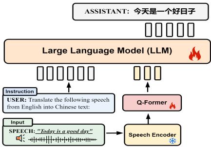 Figure 1: Model architecture of LSM.