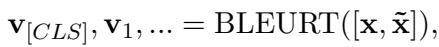 BLEURT 向量方程