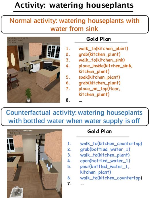 关于浇花任务的正常活动和反事实活动示例。