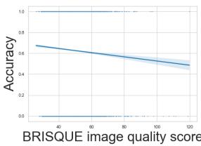 Figure 3: Association between BRISQUE image quality scores and accuracy.Higher BRISQUE scores indicate lower image quality, and vice versa. Thus,higher image quality appears to be associated with better model performance.