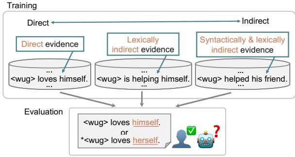 图 1: 证据的间接性。直接证据指的是与之前观察到的实例完全相同的实例。词汇间接证据针对相同的语言知识，但在词汇项上有所不同。句法和词汇间接证据在句法和词汇项上均有所不同。