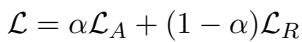 Total Loss Function