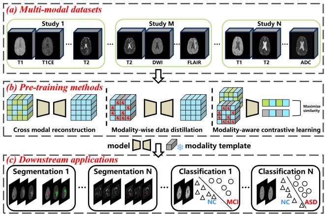 Figure 1. (a) Naturally grouped multi-modal data in clinical studies. (b) The three proxy tasks proposed: cross-modal reconstruction, modality-wise data distillation, and modality-aware contrastive learning. (c) Application to downstream tasks.