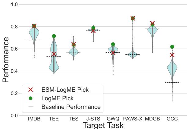 图 3: 展示不同目标任务迁移学习性能分布的小提琴图。