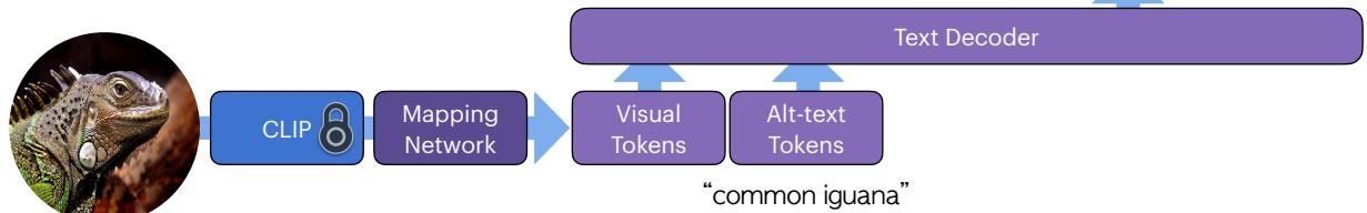 架构图展示了从图像和替代文本到文本解码器的流程。
