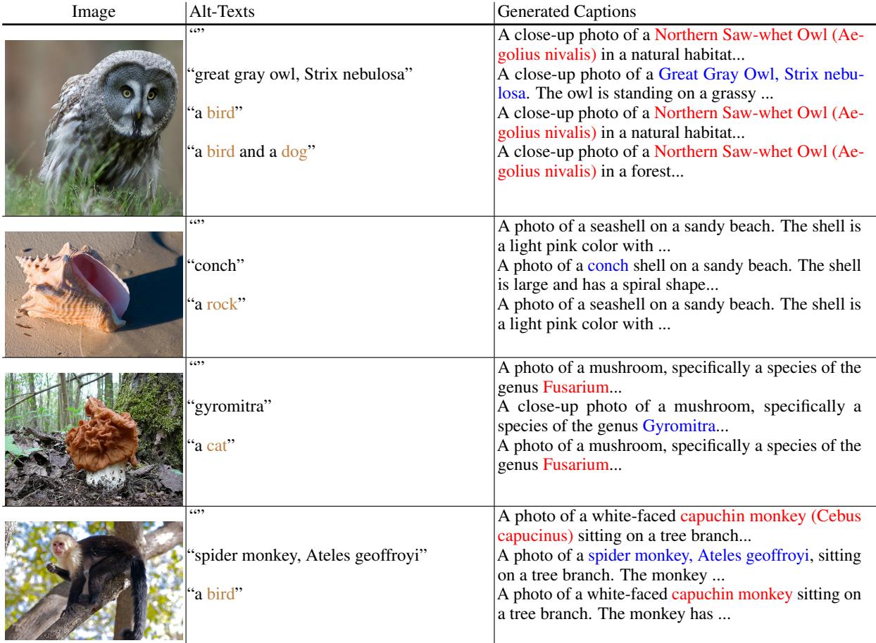 展示修正后字幕定性示例的表格。