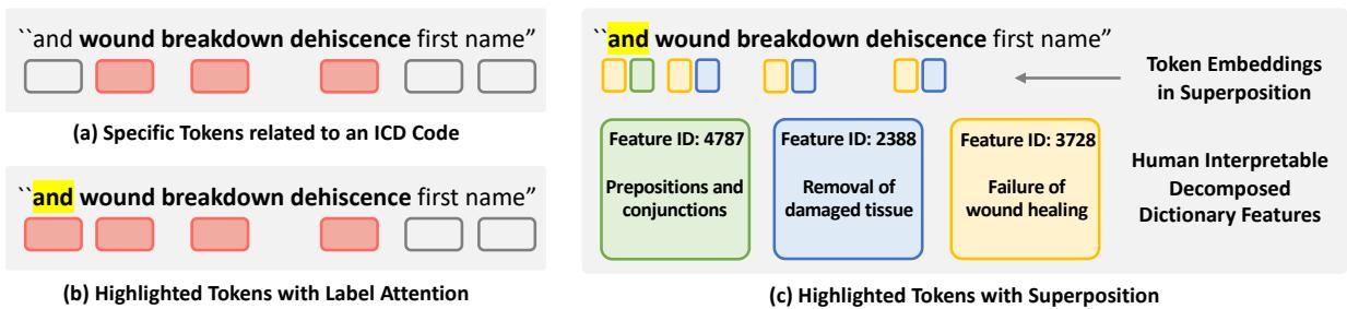 图 1: 动机: LAAT 识别每个 ICD 代码最相关的 Token。