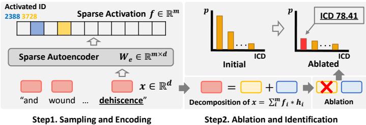 图 2: 构建字典涉及几个步骤: 稀疏自编码器将每个 Token 嵌入分解为稀疏潜在空间。