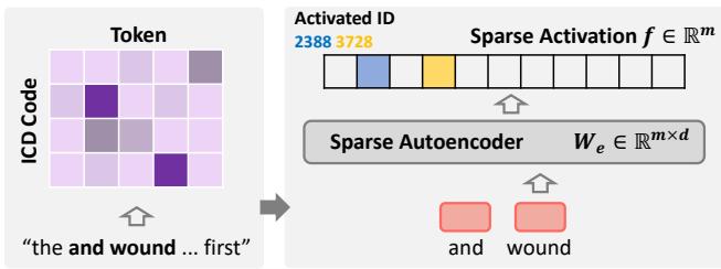 图 3: 用于自动 ICD 可解释性管道的建议方法: AutoCodeDL。