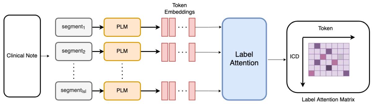 高亮 Token 的标签注意力管道 图 5: 标签注意力通过标签注意力矩阵识别每个 ICD 代码最相关的 Token