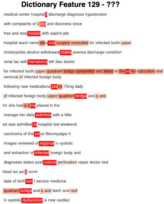 图 8: 具有低余弦相似度的不可解释 SPINE 特征示例。
