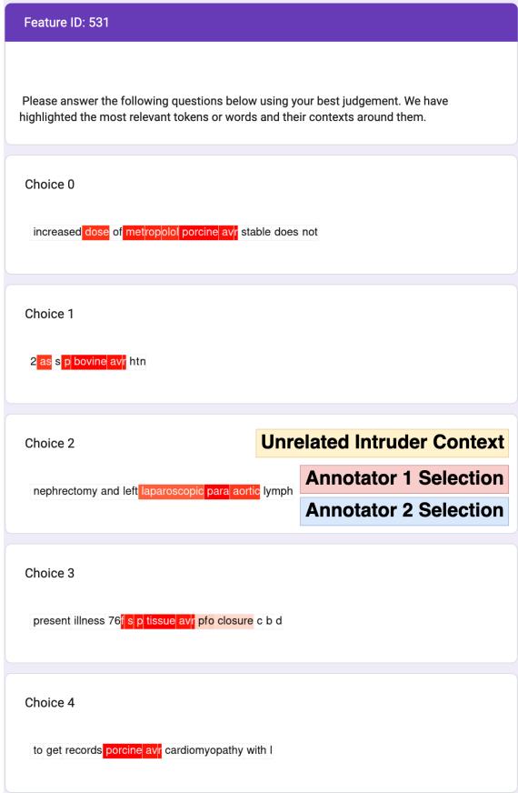 图 9: 一个可解释的 L1 特征示例。