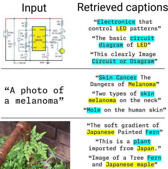 Figure 1: Our retrieval-based solution enriches both images and textual descriptors with real-world captions which contain domains and classes . Even when the captions are generic (third row for each example), they can still restrict the focus to the correct domain.