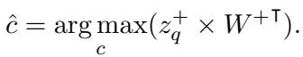 Equation for final classification using enriched vectors
