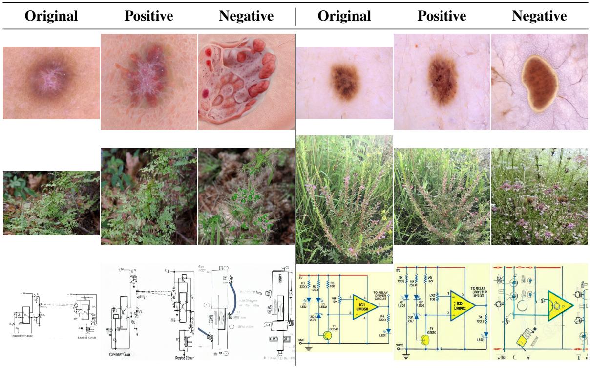 Table 7: Synthetic image from the baseline of (Zhang et al.,2024).We show original samples,the “positive&rsquo; augmentation and the “negative” augmentation.