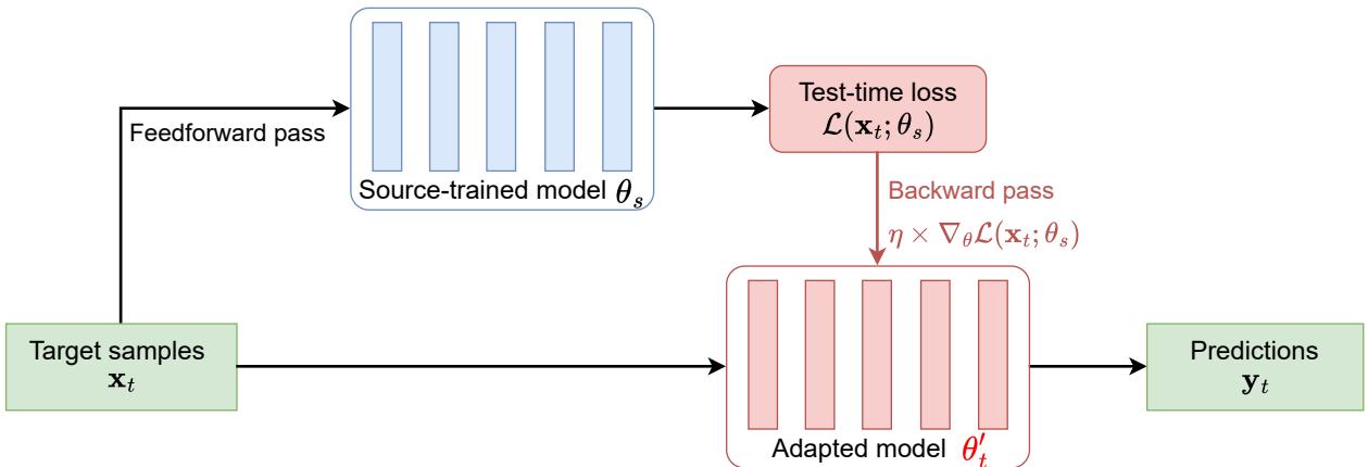 A diagram showing the model adaptation process: target samples are fed into a source-trained model, a test-time loss is calculated, and a backward pass updates the model parameters to create an adapted model for making predictions.