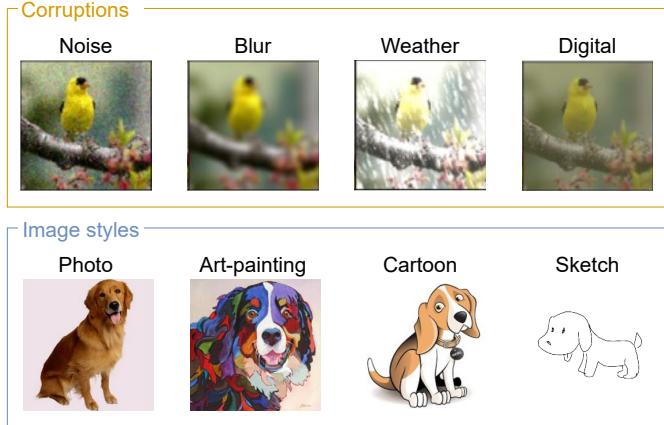 Images showing examples of covariate shifts, with a row of corrupted bird images and a row of dog images in different artistic styles.