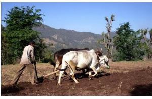 图 2: 来自我们的 Spatial-MM 的 VQA 示例,涵盖了一系列具有挑战性的视觉模式。