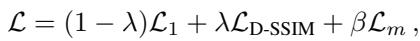Equation 6: The combined loss function used for training.