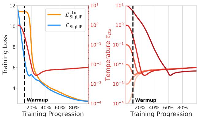 Training dynamics and temperature evolution.