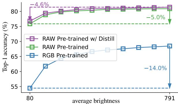 Graph showing Top-1 accuracy retention as image brightness decreases.