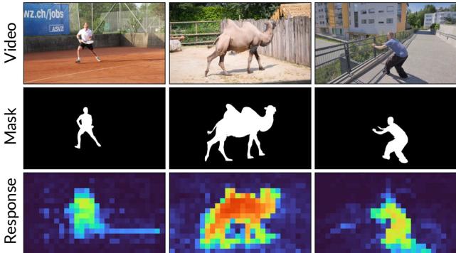Figure 5. Effect association prior in a pretrained video generation model.