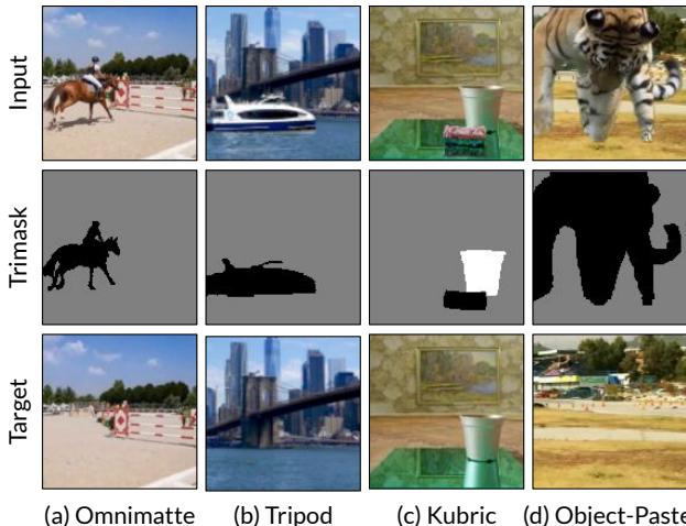 Figure 6. Training data for object and effect removal.