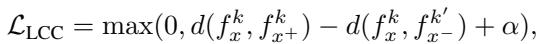 Equation for LCC Loss.