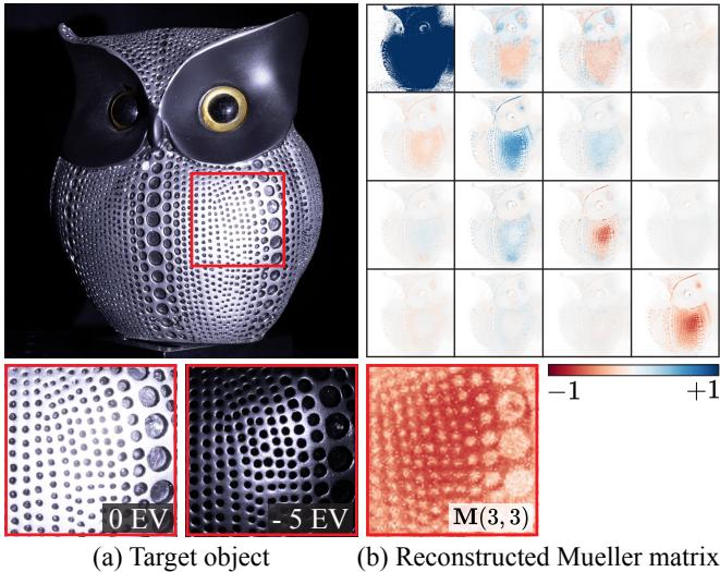 HDR capabilities showing successful capture of both bright specular and dark diffuse regions.