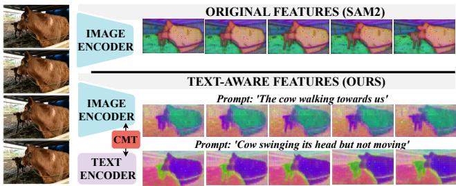 Figure 5. PCA visualization showing how CMT provides contextualized visual features based on the specific textual prompt.