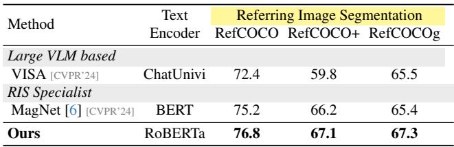 Figure 10. Qualitative examples from MeViS showing SAMWISE handling occlusions, multiple instances, and descriptive attributes.
