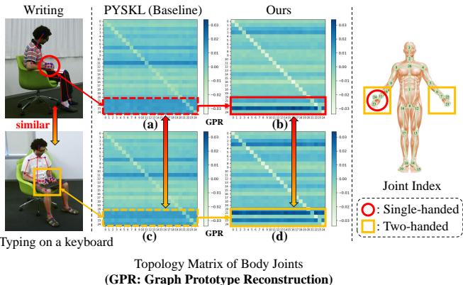 Figure 1. Illustration of the skeletons and learned topologies for similar actions Writing and Typing on a Keyboard.