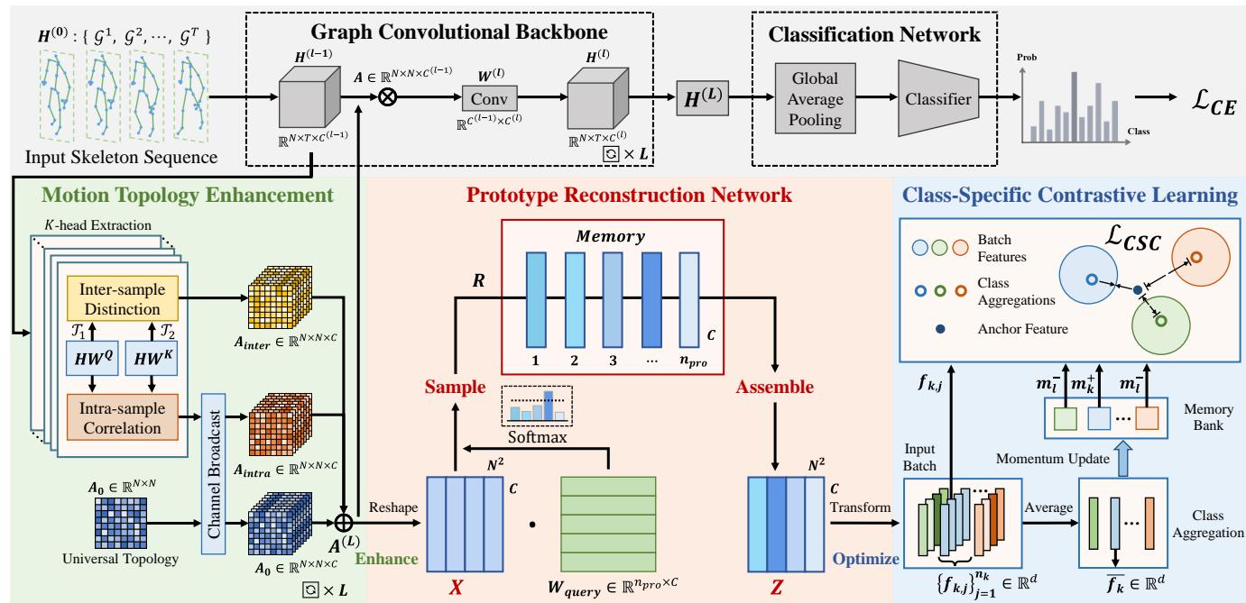 Figure 2. The overall architecture of ProtoGCN.