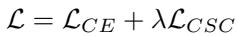 Total Loss equation combining Cross-Entropy and Contrastive Loss.